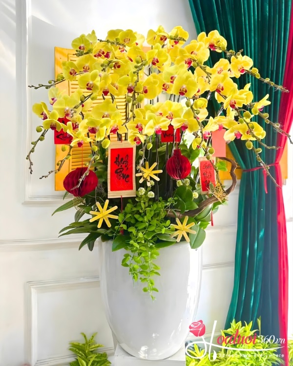 Chậu lan hồ điệp Tết 20 cành - Sắc vàng tài lộc