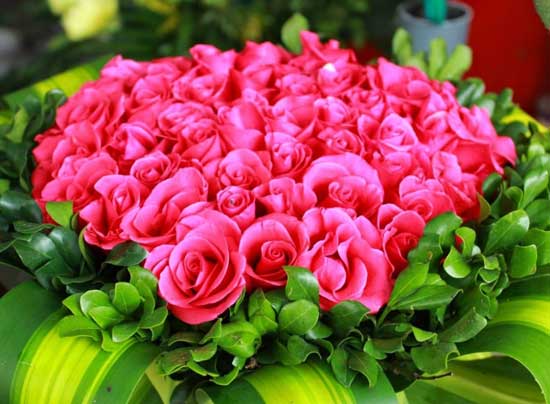 shop bán hoa chúc mừng 8/3 đẹp