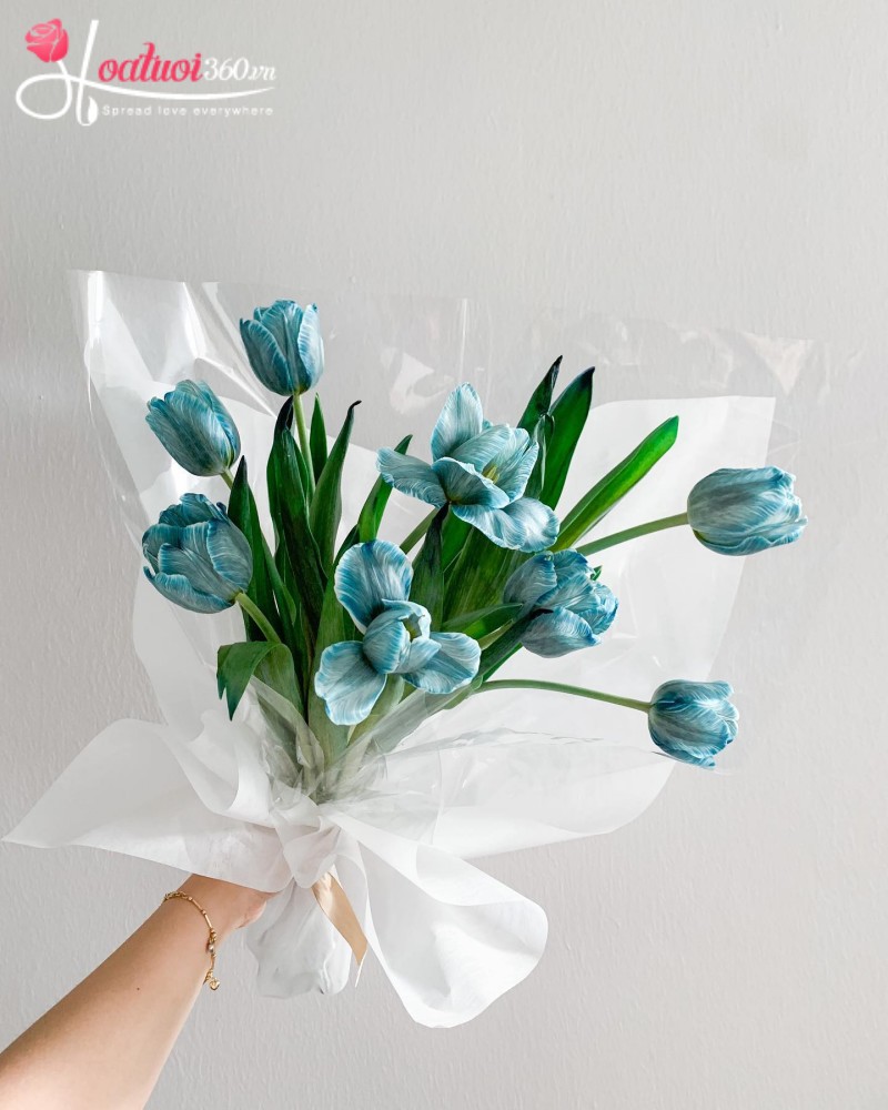 Bó tulip xanh tinh khôi