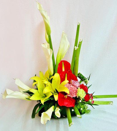 Hoa để bàn tuyệt đẹp tượng trưng cho ngày tết nhiều ý nghĩa Hoa để bàn tuyệt đẹp tượng trưng cho ngày tết nhiều may mắn