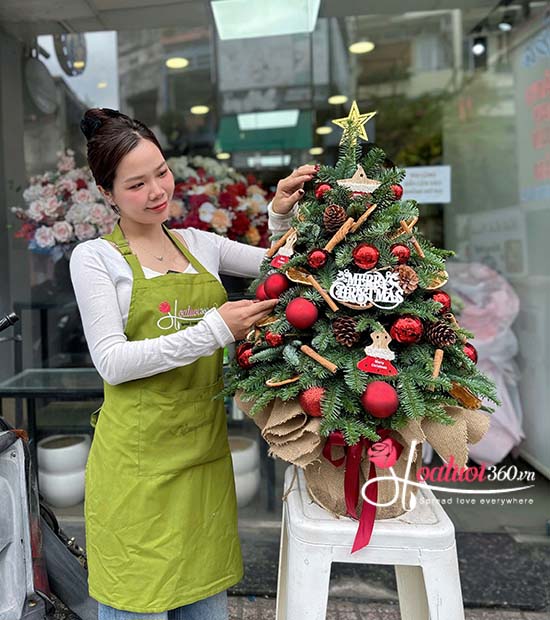 Cây thông Noel - Đón đông an lành