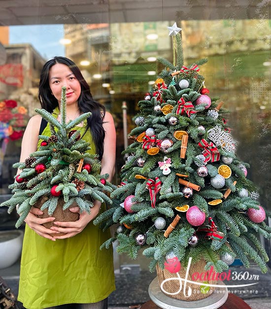 Hoa Tươi 360 - Shop bán hoa giáng sinh đẹp, giá rẻ