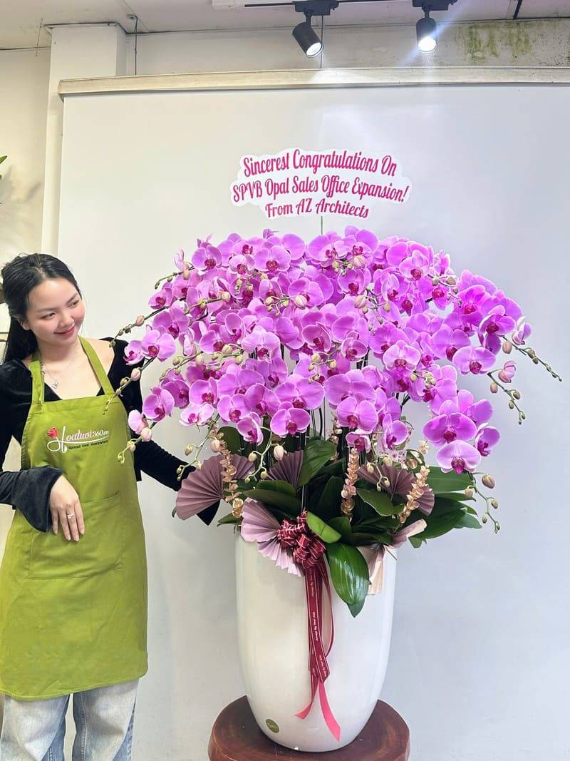 Chậu hoa sinh nhật lan hồ điệp tím, sang trọng cho sếp