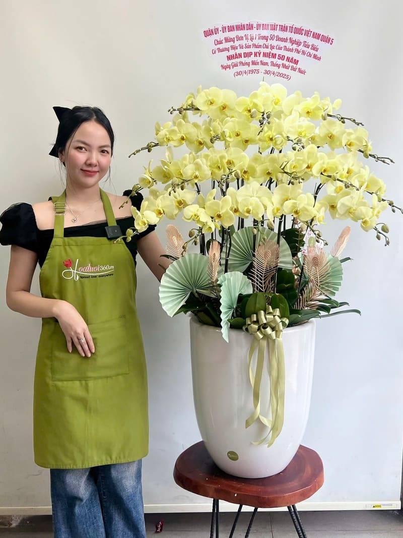 Chậu hoa sinh nhật lan hồ điệp vàng cao cấp gửi mẹ