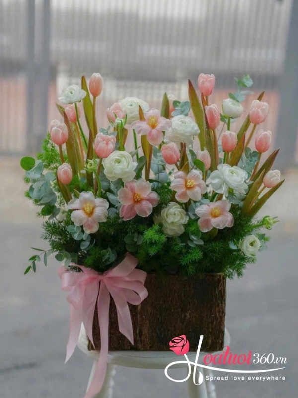 Hộp hoa tulip hồng phối cát tường - Flora