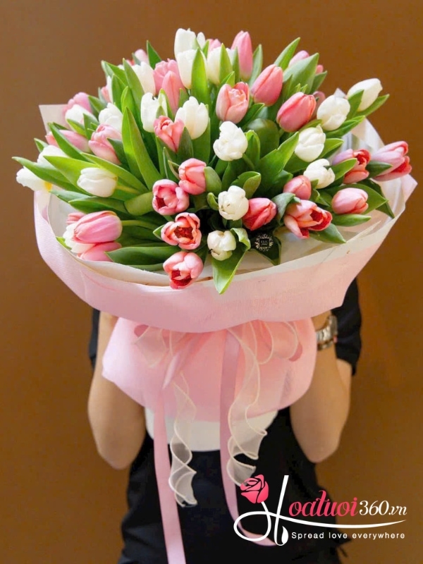 Bó hoa tulip trắng hồng - Hoa cỏ mùa xuân