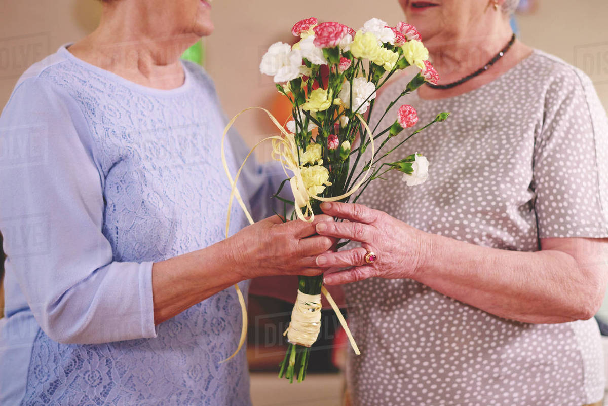 Hoa cẩm chướng món quà ý nghĩa tặng sinh nhật