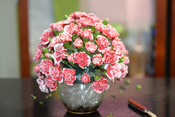 Nghệ thuật sắp xếp hoa cẩm chướng