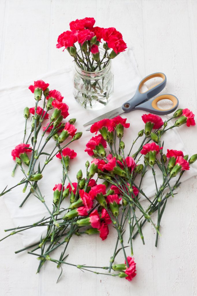 Hoa cẩm chướng vẫn tự giữ được độ tươi sau khi cắt ở một thời gian dài