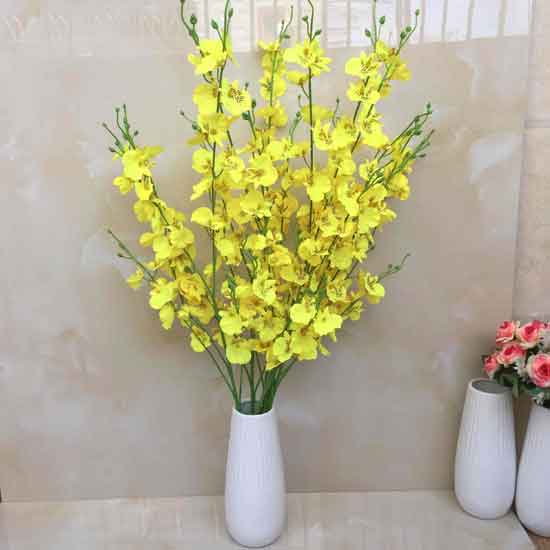 Hoa lan vũ nữ cắt cành sang trọng trong hội nghị Hoa lan vũ nữ cắt cành sang trọng trong hội nghị