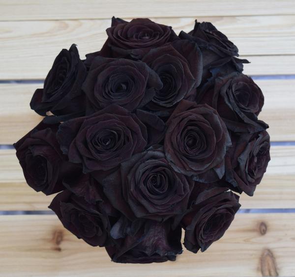Hoa hồng đen vẻ đẹp của sự bí ẩn