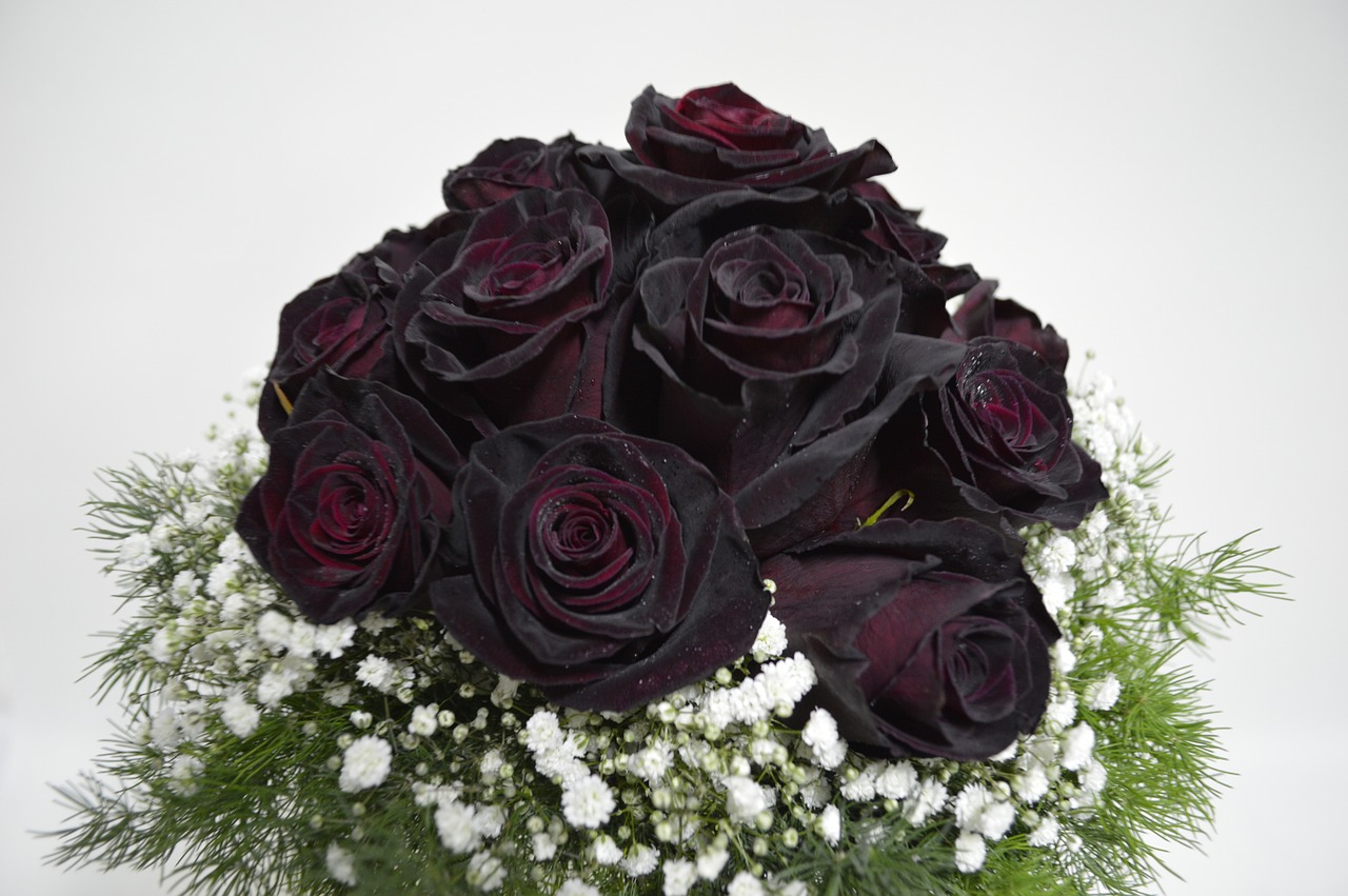 Hình ảnh đẹp của hoa hồng đen