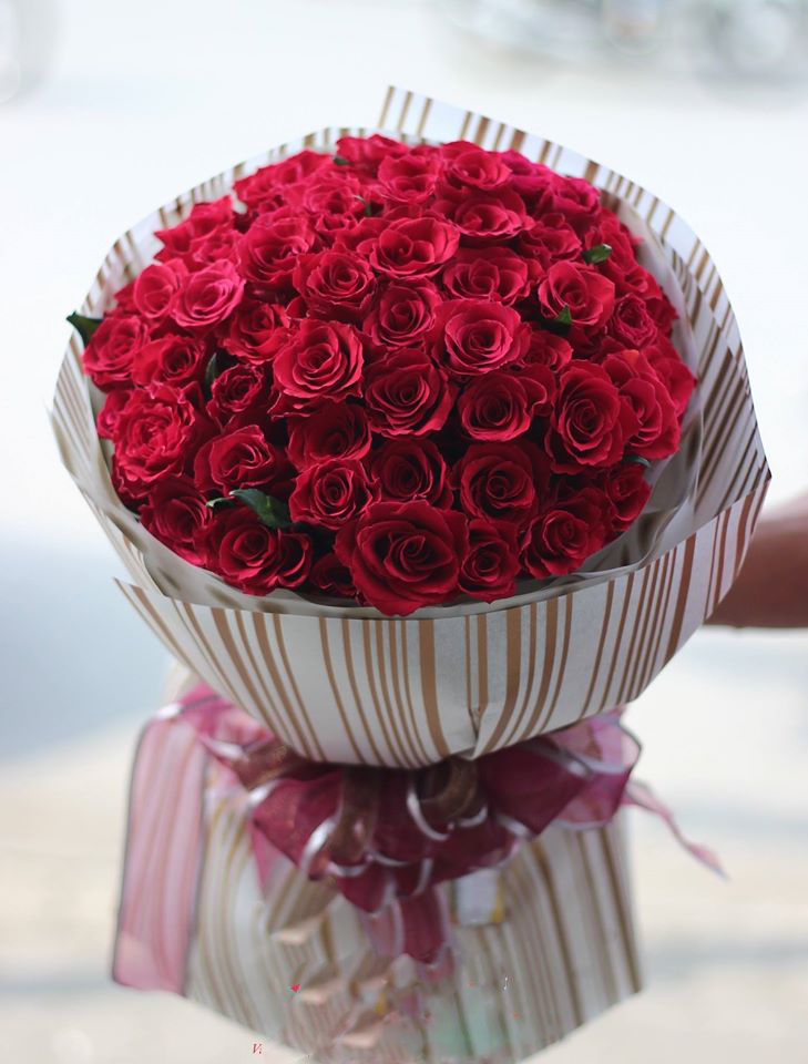 Bó hoa hồng đỏ là món quà đặc biệt