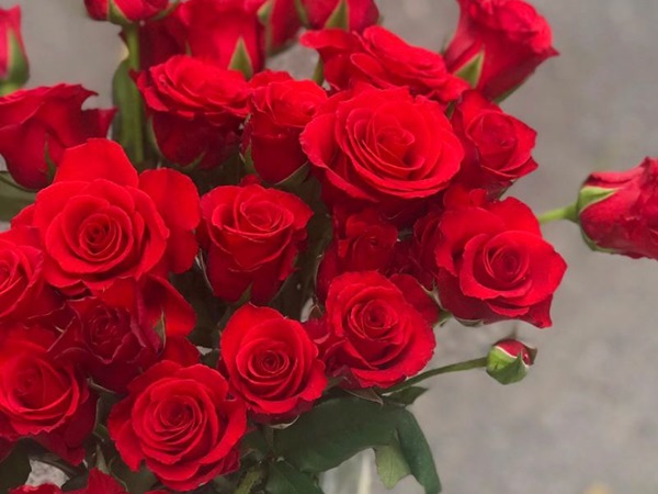 Một đoá hồng của cửa hàng hoa Nguyễn Tri Phương sẽ giúp cô ấy tự đổ với bạn
