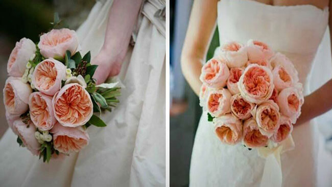 Hoa hồng ngoại Juliet sử dụng làm hoa cưới