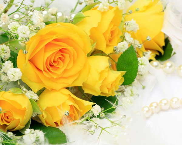 Sức mạnh của hoa hồng vàng có thể hàn gắn một mối quan hệ rạn nứt