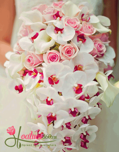 Lan hồ điệp trắng hồng kết hợp cùng hoa hồng xin xắn lung linh 