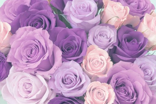 hoa màu tím đẹp nhất thế giới
