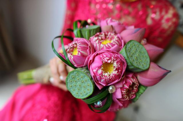 Hoa sen thường được dùng để làm hoa cưới cho cô dâu