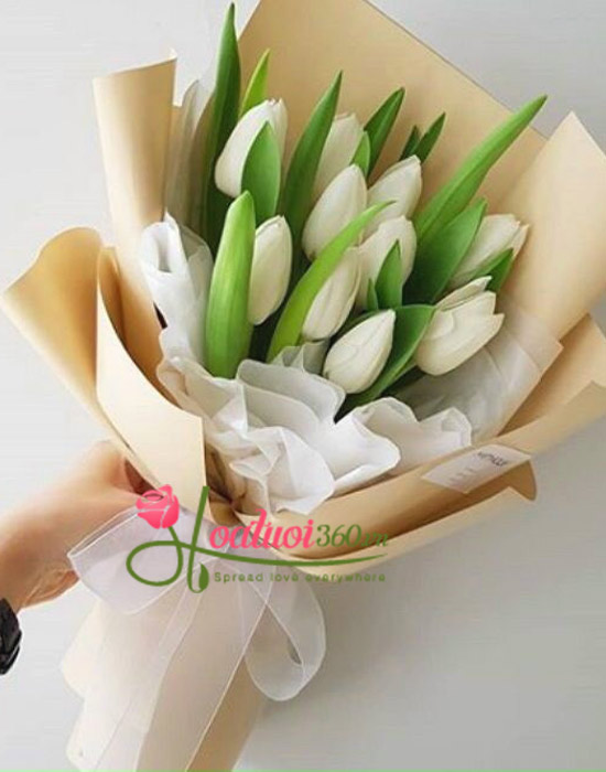 Giới thiệu đôi nét về hoa tulip trắng
