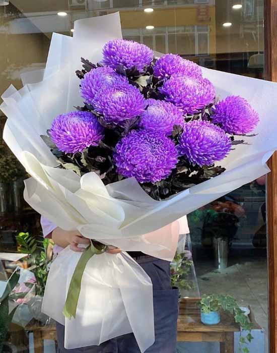 The purple chrysanthemum peony is gentle and simple