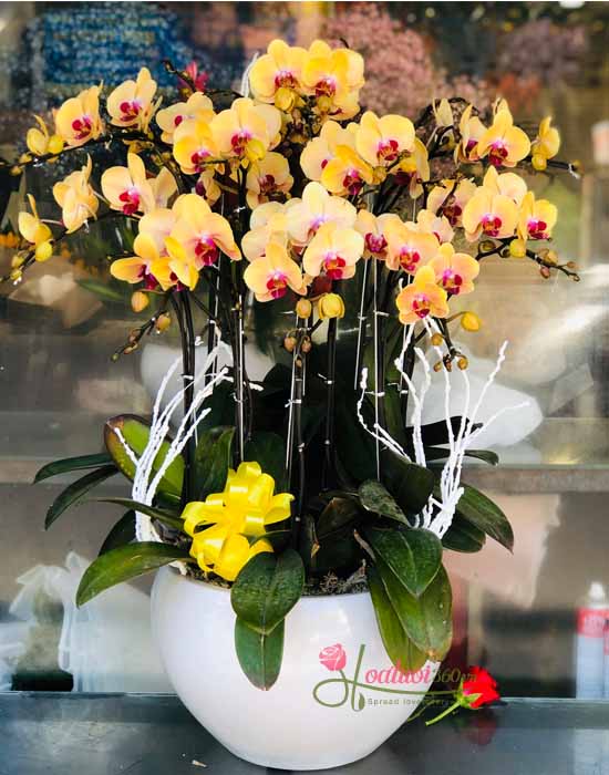 Giỏ hoa tặng Sinh Nhật Sếp Nam đẹp và rẽ nhất phan rang