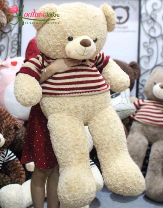 Gấu bông Teddy dễ thương