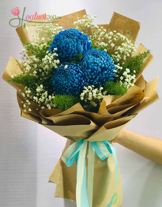 Bó hoa cúc mẫu đơn - Blue love