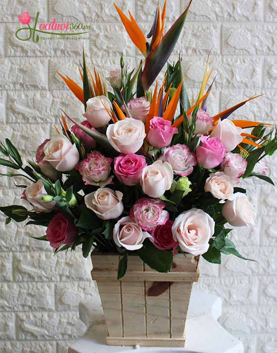 Lãng hoa hồng và thiên điểu thích hợp làm hoa tặng sự kiện, hoa khai trương, sinh nhật