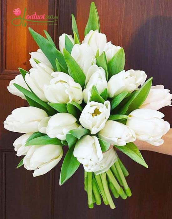 Bó hoa cưới tulip trắng - Tinh khiết