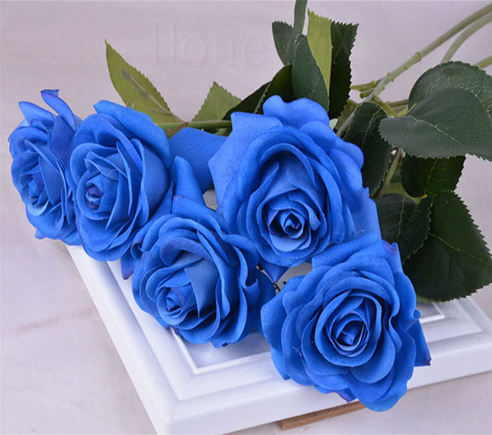 Hoa hồng xanh nổi bật với sắc xanh thật độc đáo. Hình ảnh hoa hồng xanh đầy sức sống và tươi mới sẽ đem đến cảm giác sảng khoái cho không gian trang trí nhà cửa hay quà tặng sinh nhật.
