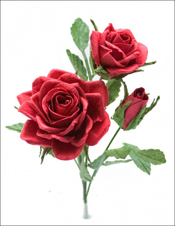 bài thơ hay về hoa hồng