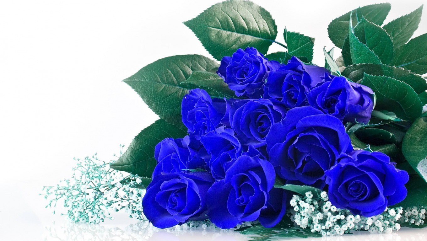 Bó hoa tặng nàng chứa đựng tình cảm sâu sắc và sự quan tâm chân thành. Hãy lắng nghe những lời chúc phúc đến từ cho người yêu thương của bạn và tìm hiểu thêm về sự đẹp đẽ trong loài hoa hồng xanh.