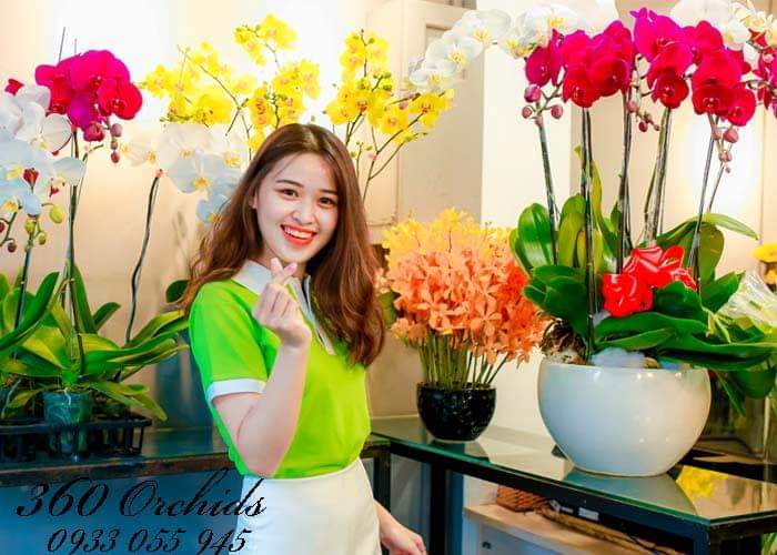Shop hoa tươi thị xã Bình Minh Vĩnh Long uy tín