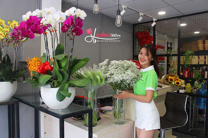 Shop hoa Vily - Dịch vụ giao hoa siêu tốc