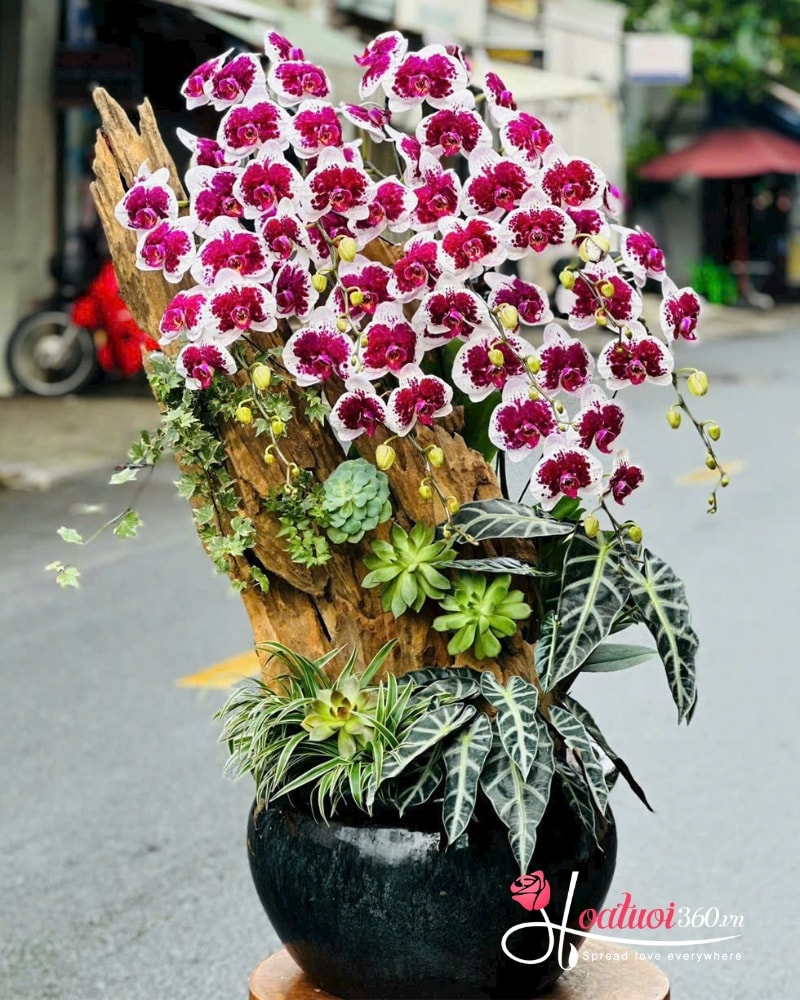 shop hoa tươi đường Nguyễn Trọng Tuyển