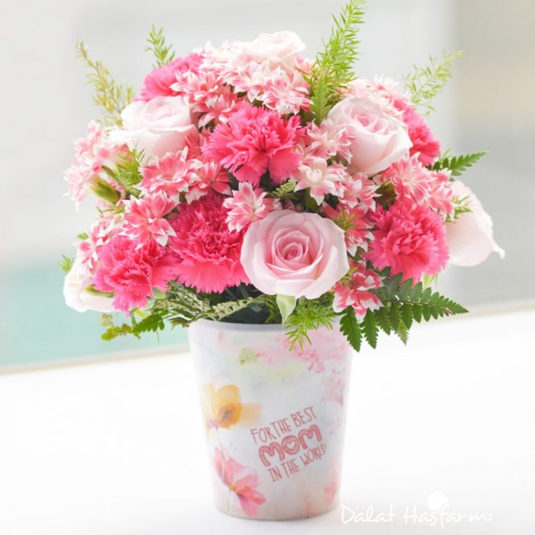Bình hoa cẩm chướng giành tặng mẹ thay lời cảm ơn 