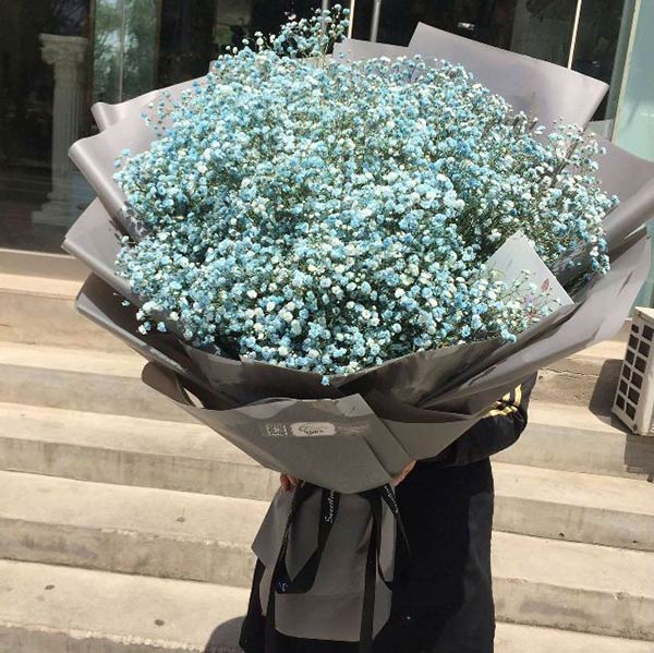 Hoa baby xanh mang thông điệp vô cùng ý nghĩa