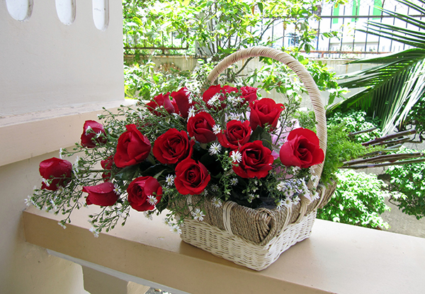 Hộp hoa hồng đỏ Giáng sinh