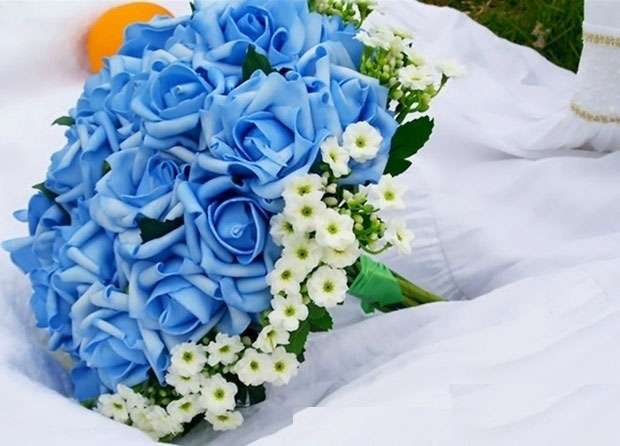 Hoa màu xanh dương có ý nghĩa vô cùng quý giá trong cuộc sống
