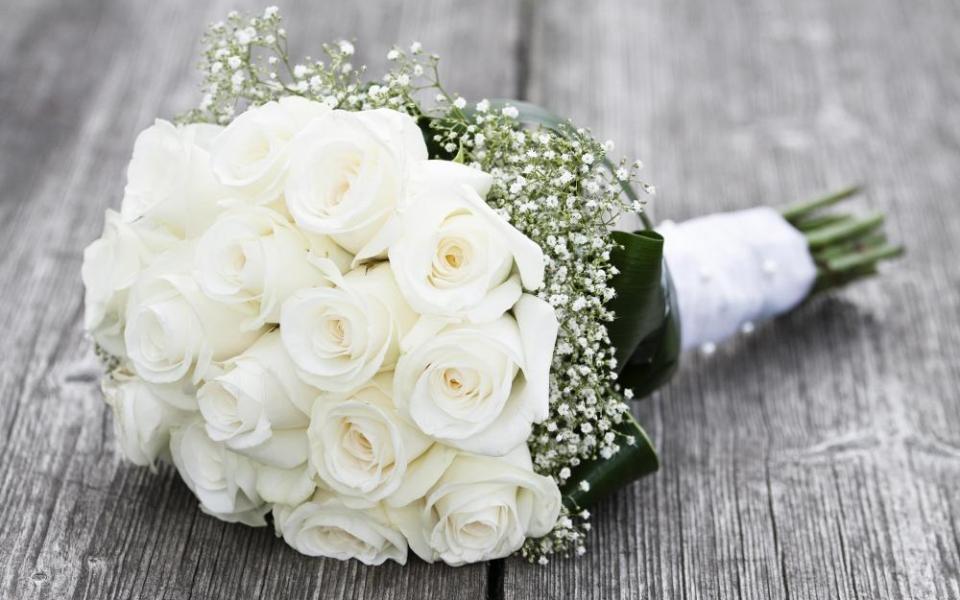 Hoa hồng trắng là loài hoa của ánh sáng